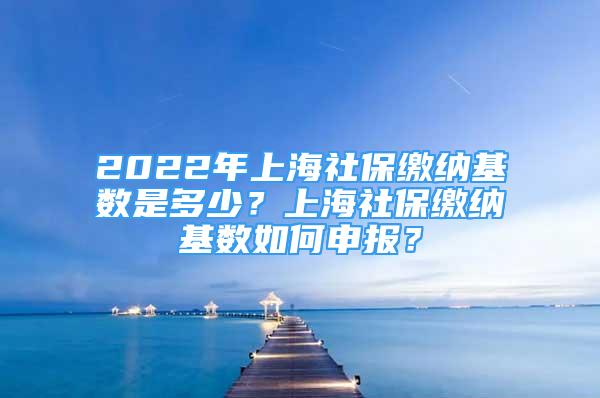 2022年上海社保繳納基數(shù)是多少？上海社保繳納基數(shù)如何申報(bào)？