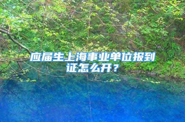 應屆生上海事業(yè)單位報到證怎么開？