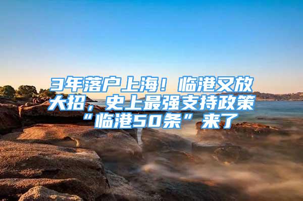 3年落戶上海！臨港又放大招，史上最強(qiáng)支持政策“臨港50條”來了