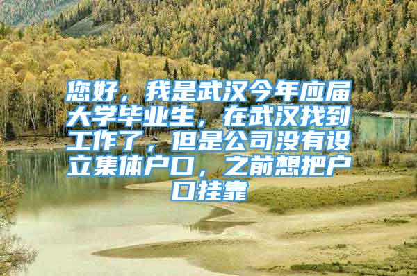 您好，我是武漢今年應屆大學畢業(yè)生，在武漢找到工作了，但是公司沒有設立集體戶口，之前想把戶口掛靠