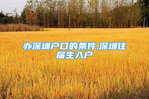 辦深圳戶口的條件,深圳往屆生入戶