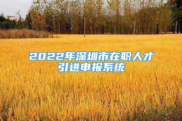 2022年深圳市在職人才引進(jìn)申報(bào)系統(tǒng)