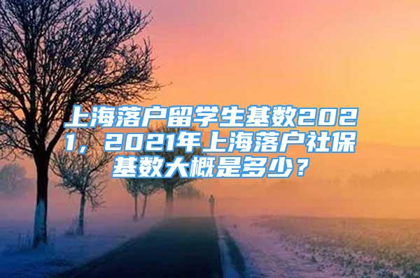 上海落戶留學(xué)生基數(shù)2021，2021年上海落戶社保基數(shù)大概是多少？