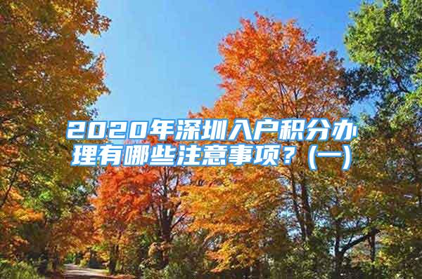 2020年深圳入戶積分辦理有哪些注意事項(xiàng)？(一)