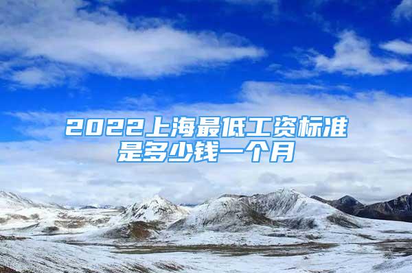 2022上海最低工資標(biāo)準(zhǔn)是多少錢一個(gè)月