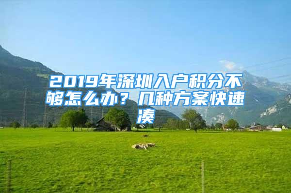 2019年深圳入戶積分不夠怎么辦？幾種方案快速湊