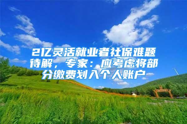 2億靈活就業(yè)者社保難題待解，專家：應(yīng)考慮將部分繳費劃入個人賬戶