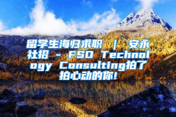 留學生海歸求職 ｜ 安永社招 - FSO Technology Consulting拍了拍心動的你!