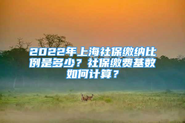 2022年上海社保繳納比例是多少？社保繳費(fèi)基數(shù)如何計(jì)算？