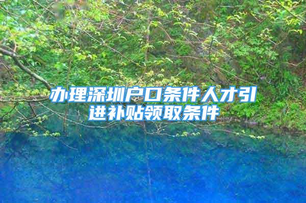 辦理深圳戶口條件人才引進(jìn)補(bǔ)貼領(lǐng)取條件