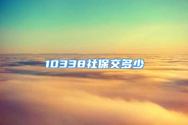 10338社保交多少