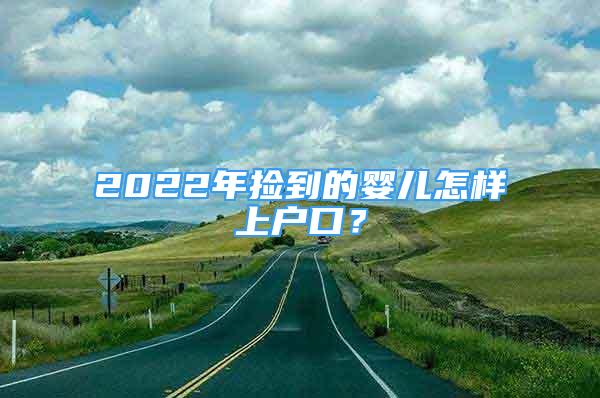 2022年撿到的嬰兒怎樣上戶口？