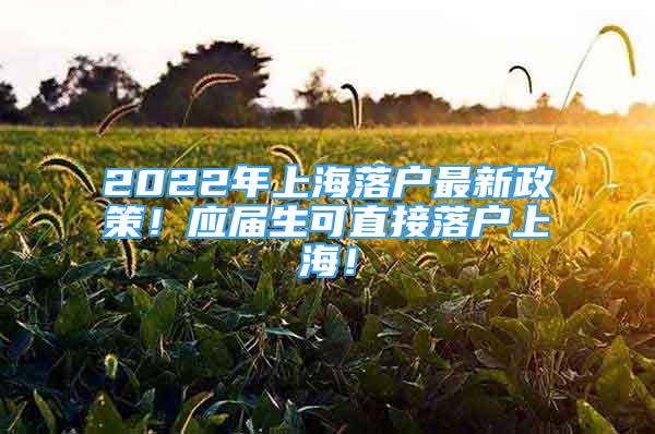 2022年上海落戶最新政策！應(yīng)屆生可直接落戶上海！