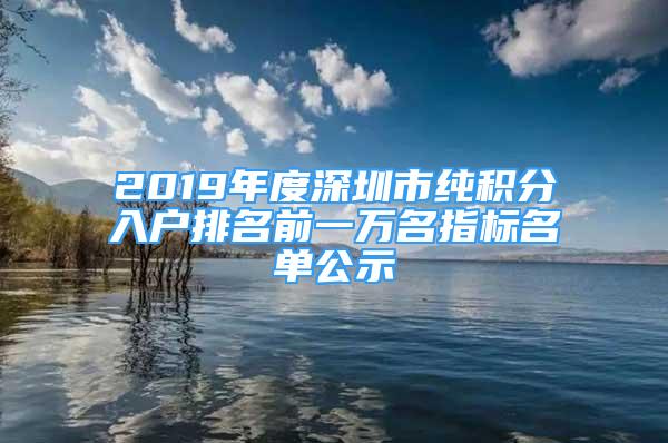 2019年度深圳市純積分入戶排名前一萬名指標(biāo)名單公示