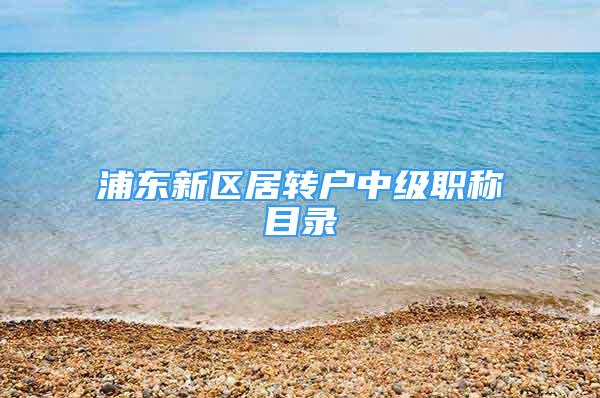 浦東新區(qū)居轉(zhuǎn)戶中級職稱目錄