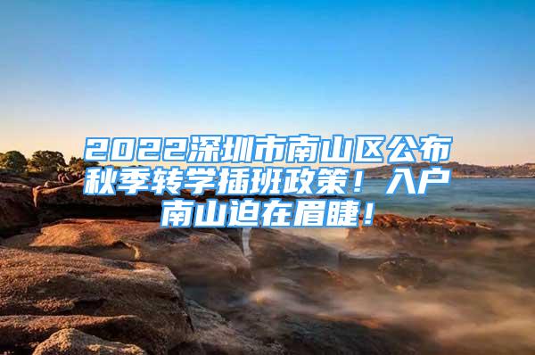 2022深圳市南山區(qū)公布秋季轉(zhuǎn)學(xué)插班政策！入戶南山迫在眉睫！