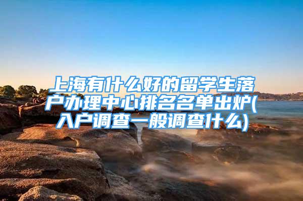 上海有什么好的留學生落戶辦理中心排名名單出爐(入戶調查一般調查什么)