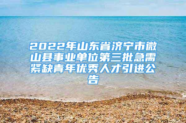 2022年山東省濟(jì)寧市微山縣事業(yè)單位第三批急需緊缺青年優(yōu)秀人才引進(jìn)公告