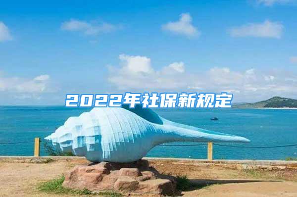 2022年社保新規(guī)定