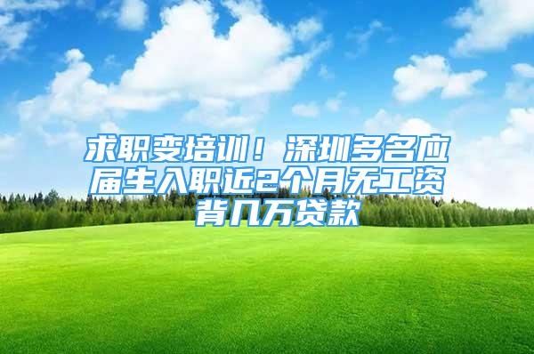 求職變培訓！深圳多名應屆生入職近2個月無工資 背幾萬貸款