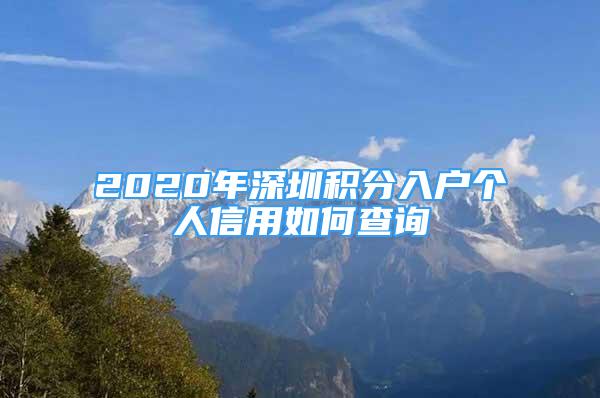 2020年深圳積分入戶個(gè)人信用如何查詢