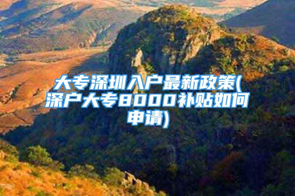 大專深圳入戶最新政策(深戶大專8000補(bǔ)貼如何申請(qǐng))