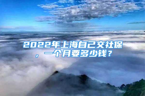 2022年上海自己交社保，一個月要多少錢？