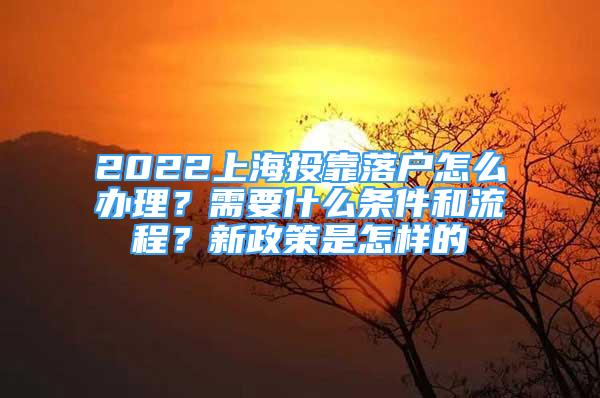 2022上海投靠落戶怎么辦理？需要什么條件和流程？新政策是怎樣的