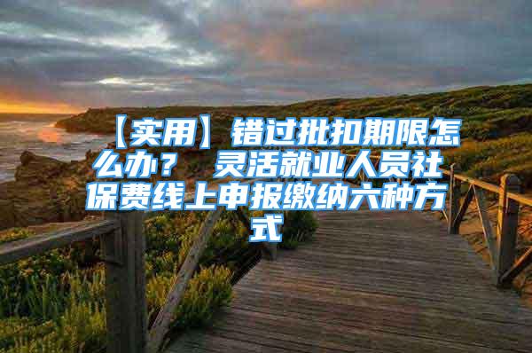 【實用】錯過批扣期限怎么辦？ 靈活就業(yè)人員社保費線上申報繳納六種方式