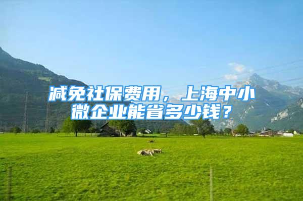 減免社保費用，上海中小微企業(yè)能省多少錢？