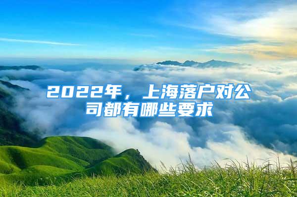 2022年，上海落戶對(duì)公司都有哪些要求