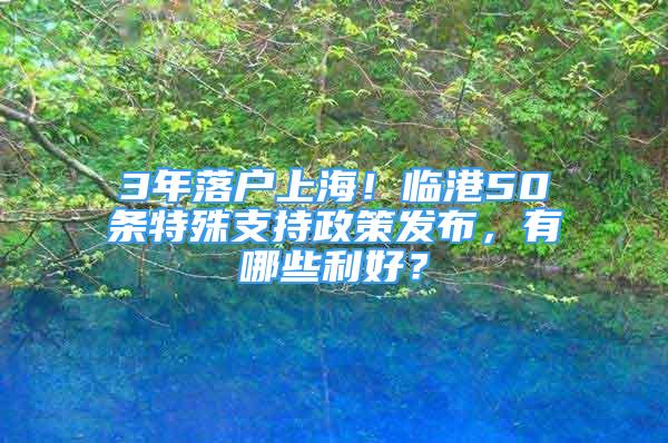 3年落戶上海！臨港50條特殊支持政策發(fā)布，有哪些利好？