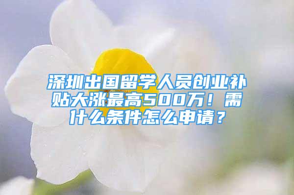 深圳出國留學(xué)人員創(chuàng)業(yè)補(bǔ)貼大漲最高500萬！需什么條件怎么申請(qǐng)？