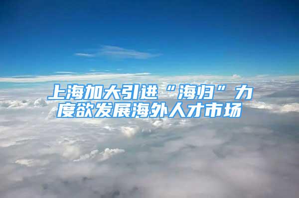 上海加大引進(jìn)“海歸”力度欲發(fā)展海外人才市場