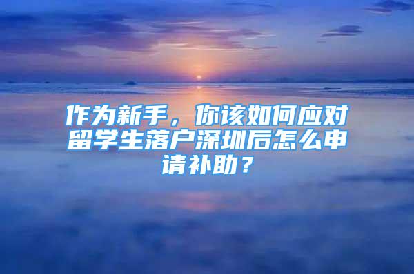 作為新手，你該如何應(yīng)對(duì)留學(xué)生落戶深圳后怎么申請(qǐng)補(bǔ)助？