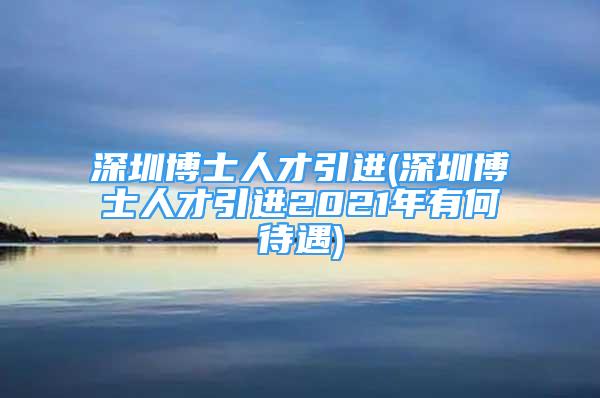 深圳博士人才引進(深圳博士人才引進2021年有何待遇)