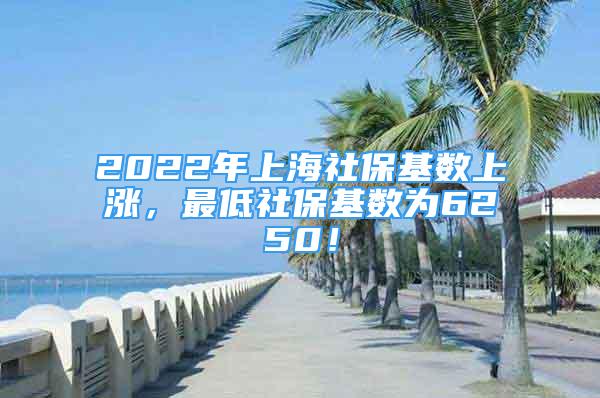 2022年上海社?；鶖?shù)上漲，最低社保基數(shù)為6250！