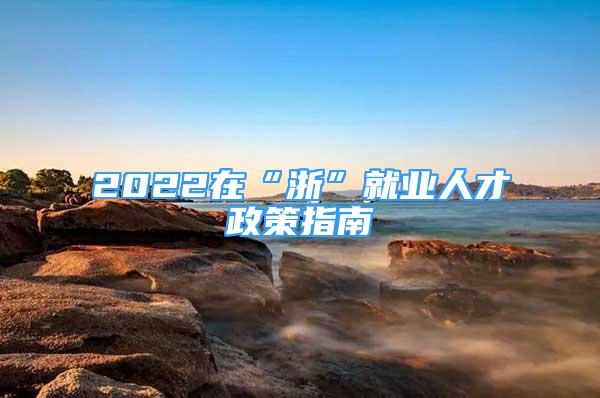 2022在“浙”就業(yè)人才政策指南