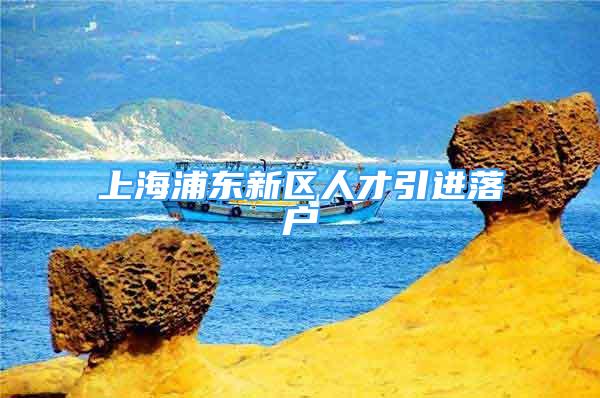 上海浦東新區(qū)人才引進(jìn)落戶