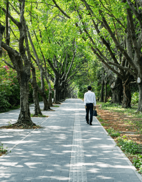 深圳經(jīng)濟(jì)特區(qū)居住證申領(lǐng)條件（2019年11月更新）