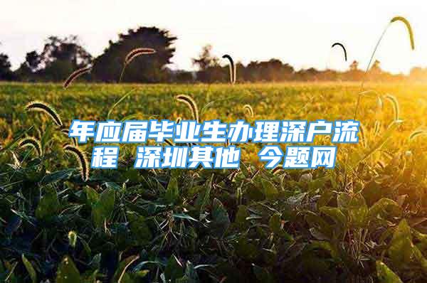 年應屆畢業(yè)生辦理深戶流程 深圳其他 今題網