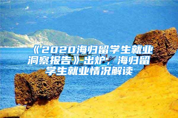 《2020海歸留學(xué)生就業(yè)洞察報(bào)告》出爐，海歸留學(xué)生就業(yè)情況解讀