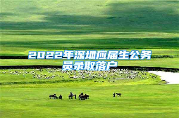 2022年深圳應屆生公務員錄取落戶