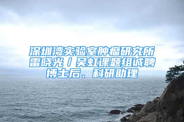 深圳灣實驗室腫瘤研究所雷曉光／吳虹課題組誠聘博士后、科研助理