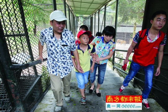 昨日，吳樹梁帶著妻子、兒子在幾名義工的陪同下到深圳野生動物園免費游玩，這是他們一家第一次走進(jìn)動物園。南都記者 徐文閣 攝