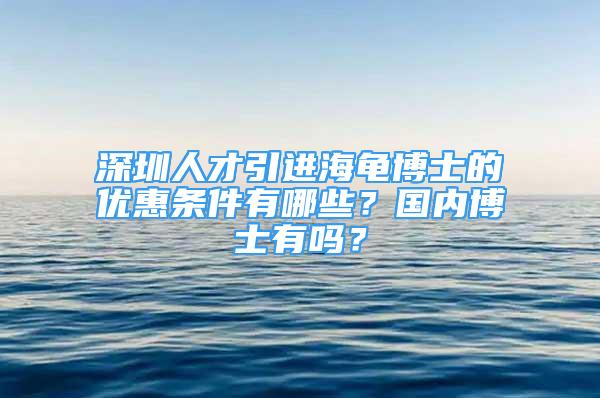 深圳人才引進(jìn)海龜博士的優(yōu)惠條件有哪些？國內(nèi)博士有嗎？