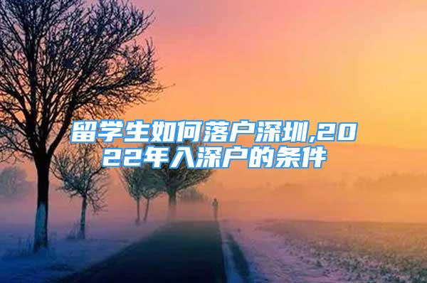 留學(xué)生如何落戶(hù)深圳,2022年入深戶(hù)的條件