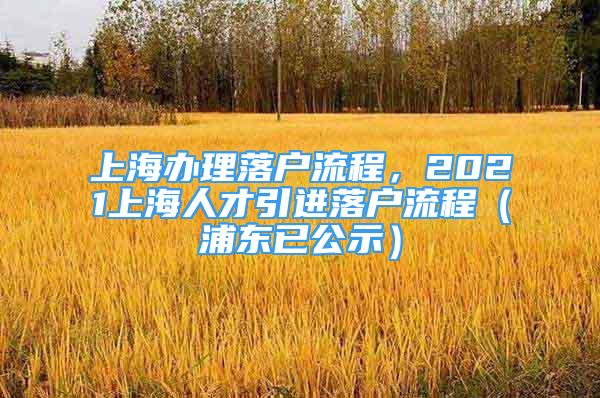 上海辦理落戶流程，2021上海人才引進(jìn)落戶流程（浦東已公示）