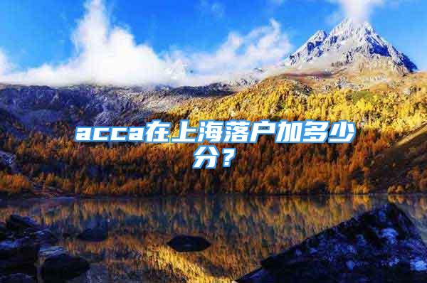 acca在上海落戶加多少分？