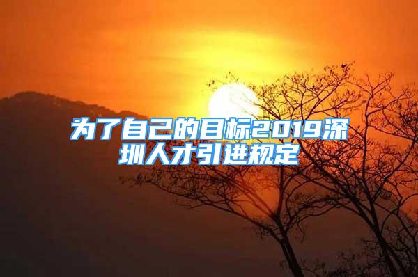 為了自己的目標(biāo)2019深圳人才引進(jìn)規(guī)定